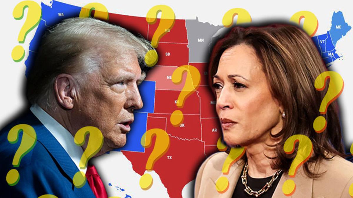 ABD Seçimlerinde Kritik Rol Oynayan "Salıncak Eyalet" Nedir ve Neden Bu Kadar Önemli?