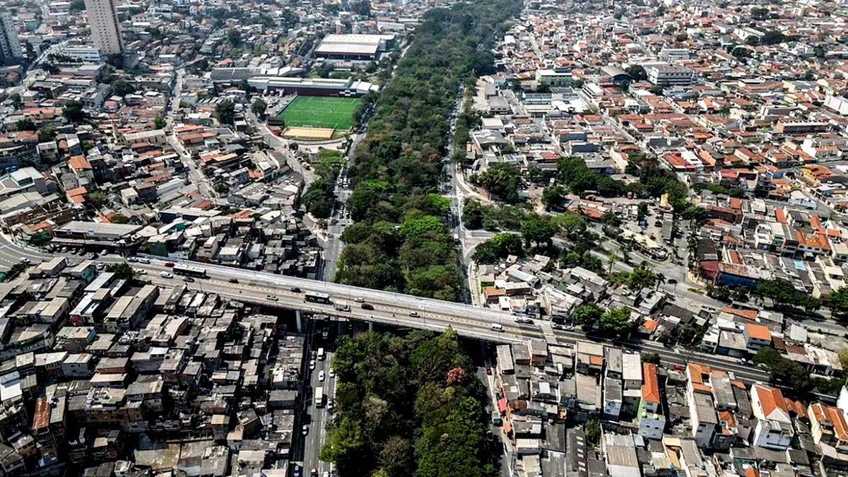 Tek Başına 20 Yılda 40 Bin Ağaç Dike Dike Koskoca Bir Kent Ormanı Yapan Emekli Bir Adamın, Azmini Ayakta Alkışlayacağınız Hikâyesi
