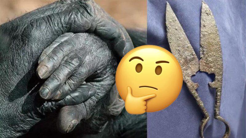 Eski İnsanlar, Tırnak Makasları Bulunmadan Önce Tırnaklarını Nasıl Kesiyordu?