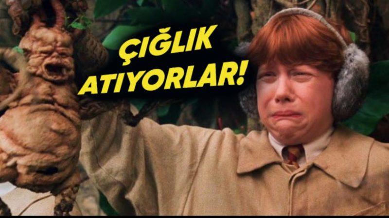 Yapılan Bir Araştırmada Zarar Gören Bitkilerin Çığlık Attığı Ortaya Çıktı (Nedenini Öğrenince Şaşıracaksınız) [VİDEO]