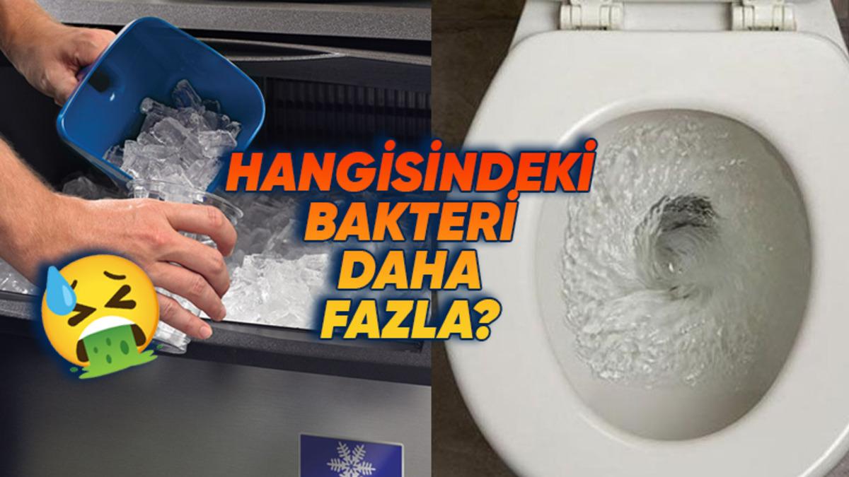 Sizi Restoranlarda Buz İstemeye Tövbe Ettirecek İlginç Araştırma