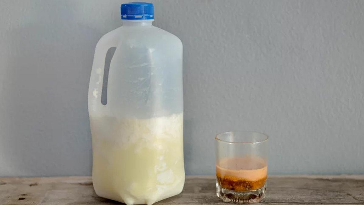 Koklayarak Sütün Bozulup Bozulmadığını Anladığınızı Sanıyorsanız Yanılıyorsunuz! Bakmanız Gereken Daha Önemli Noktalar Var