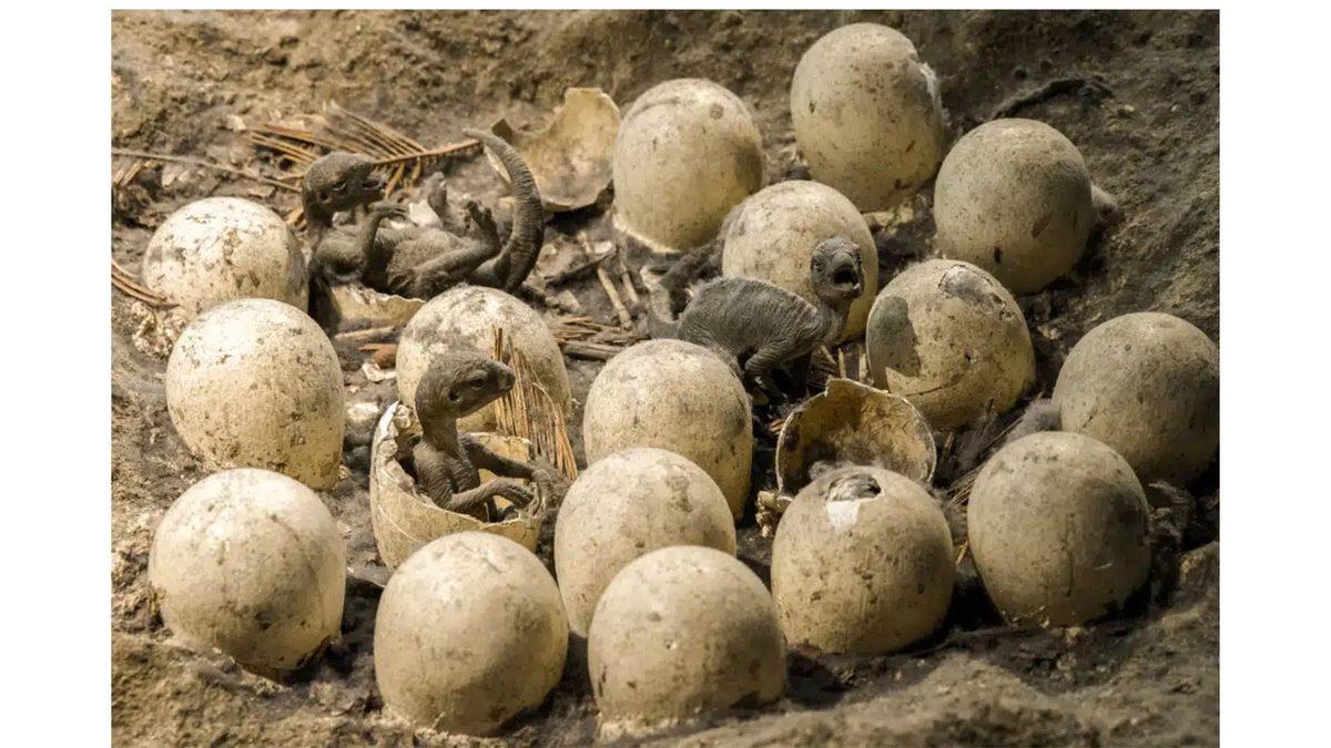 Günümüzdeki Hayvanların Dinozorlar Kadar Büyük Boyutlara Ulaşamamasının Sebebi Ne?