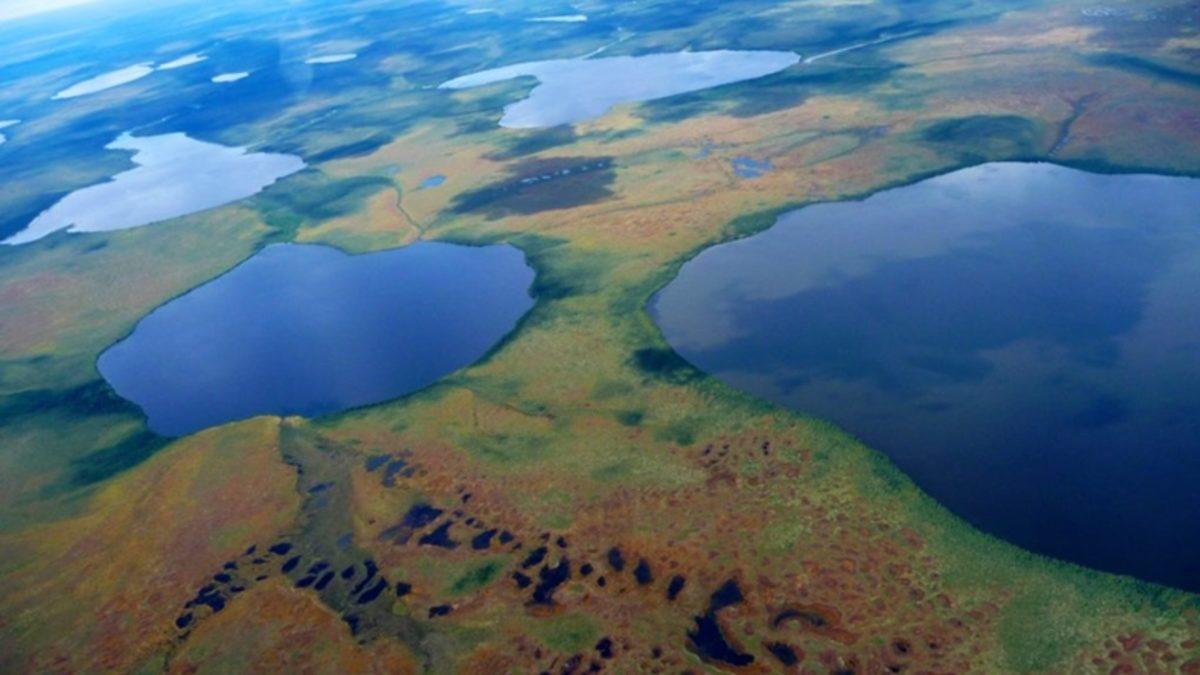 Anında Kilo Verebileceğiniz Yer Çekimsel Bir Anomali Keşfedildi (Tabii Bunun İçin Kilometrelerce Yol Kat Etmeniz Gerekecek)