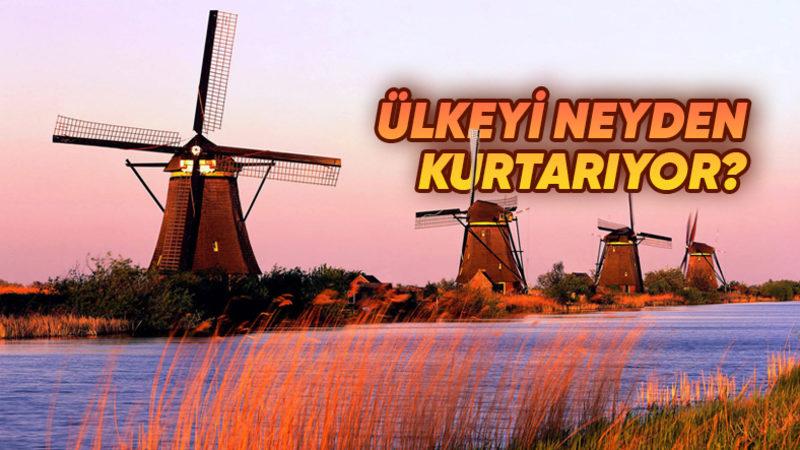 Hollanda’da Neden Çok Fazla Yel Değirmeni Var? Sadece Tahıl Öğütmek İçin Değil!