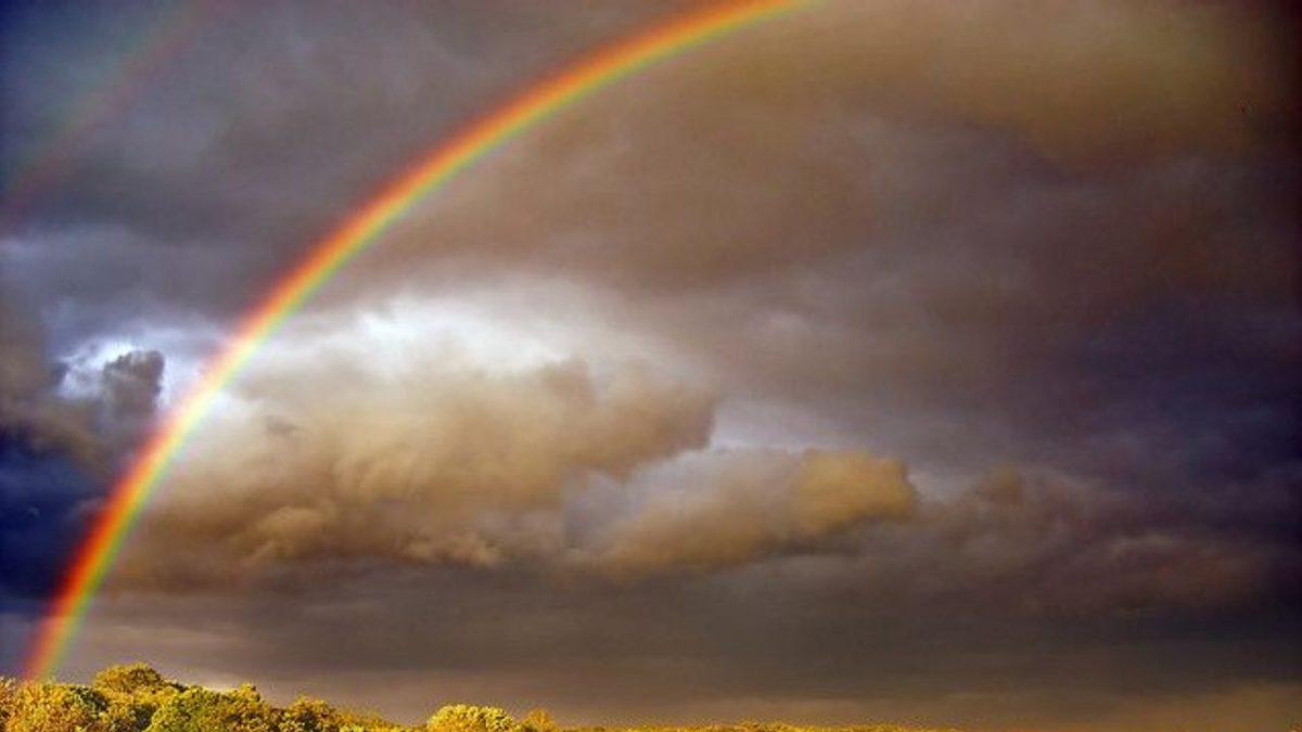Gökkuşağına Bakan Her Bir Kişinin Birbirinden Farklı Renkler Görmesine Yol Açan Bilimsel Sebep