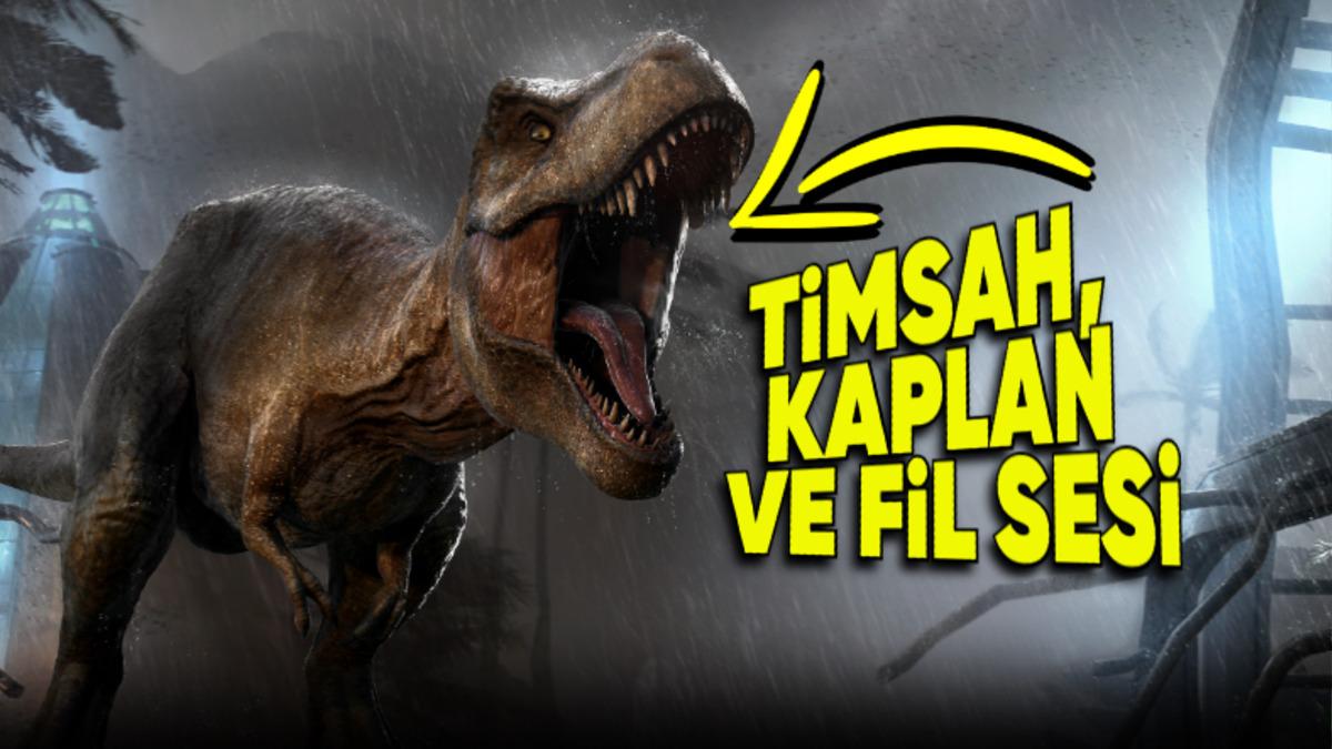 Filmlerde Yaratıkların Çıkaracakları Sese Nasıl Karar Veriliyor? King Kong’un Goril Sesi Çıkarmadığı Kesin...