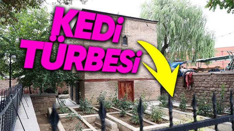 Dünya Tarihinde Bir İlk: Selçuklular Neden Kediler İçin de Ayrı Bir Türbe Yaptırmıştı?