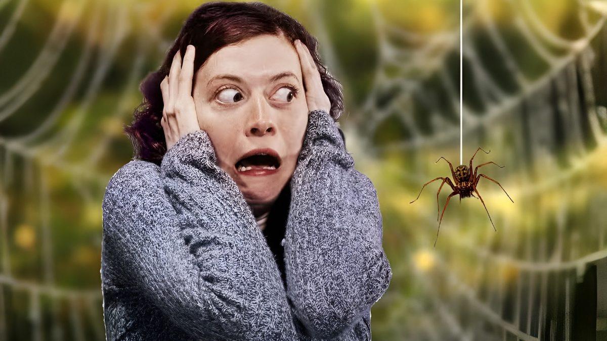 Küçücük Olmalarına ve Bize Zarar Vermemelerine Rağmen Neden Örümceklerden Bu Kadar Korkuyoruz? Cevap, Çok Eskilerde Saklı!