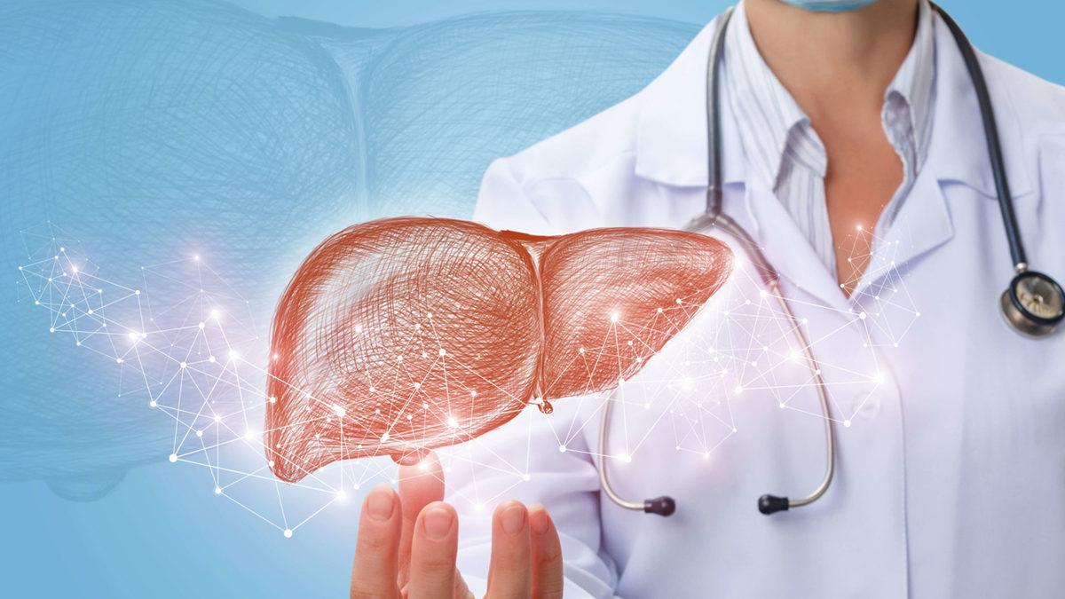 Vücudumuzun Gizli Kahramanı Karaciğerimiz Hakkında Bu 10 Bilgiyi Öğrendikten Sonra Ona Daha İyi Bakacaksınız