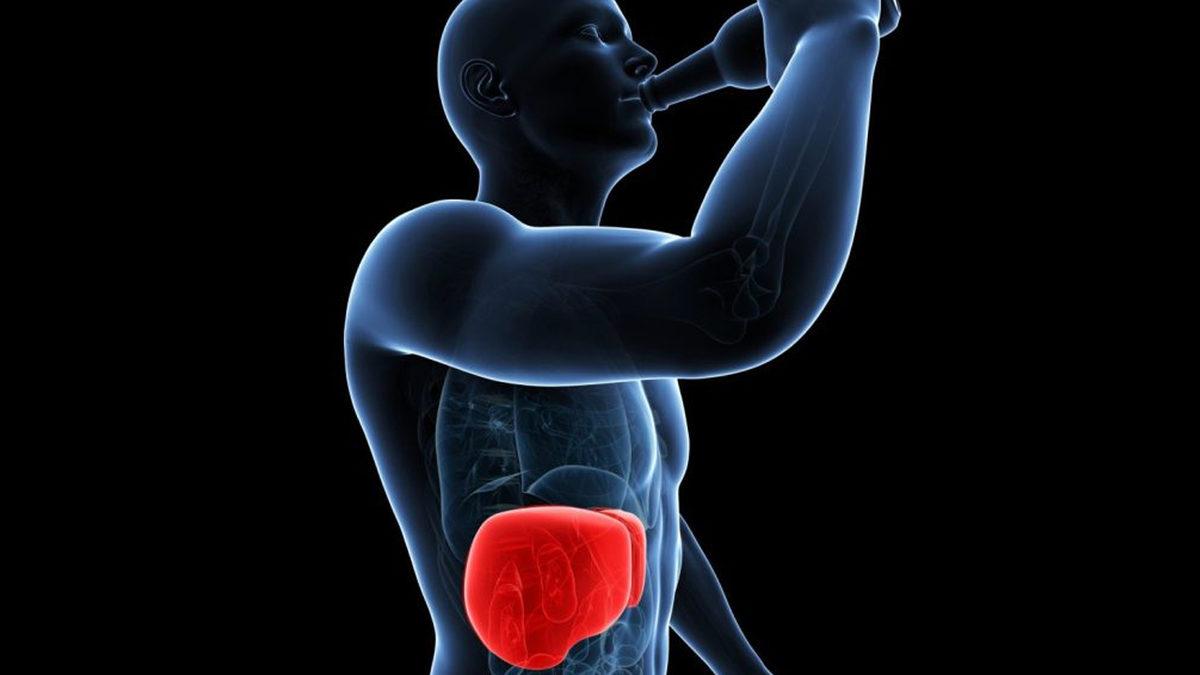 Vücudumuzun Gizli Kahramanı Karaciğerimiz Hakkında Bu 10 Bilgiyi Öğrendikten Sonra Ona Daha İyi Bakacaksınız