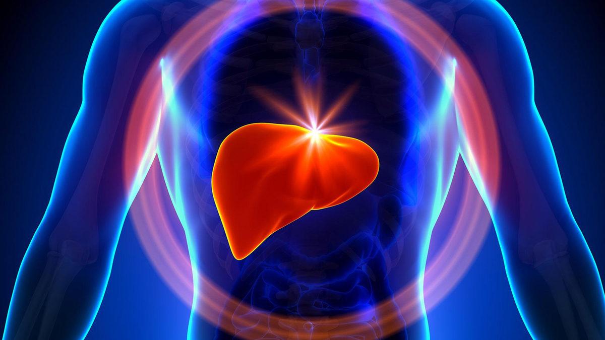 Vücudumuzun Gizli Kahramanı Karaciğerimiz Hakkında Bu 10 Bilgiyi Öğrendikten Sonra Ona Daha İyi Bakacaksınız