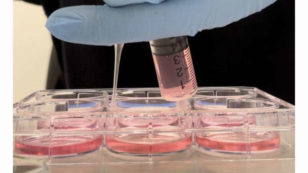 Yapılan Yeni Bir Araştırmada Vücuttaki Hücrelerde Bellek İzleri Ortaya Çıktı!