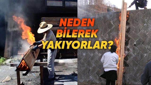 Japonya’da Ahşap Ev Yaparken Neden Tahtaları Yakıyorlar? (Biz de Yanmasın Diye Dua Ederiz)