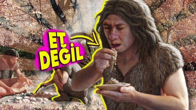 Şimdiye Dek Öğrendiğiniz Her Şeyi Sorgulatacak Araştırma: Geçmişte Avcı-Toplayıcı Değil Toplayıcı-Avcıymışız!