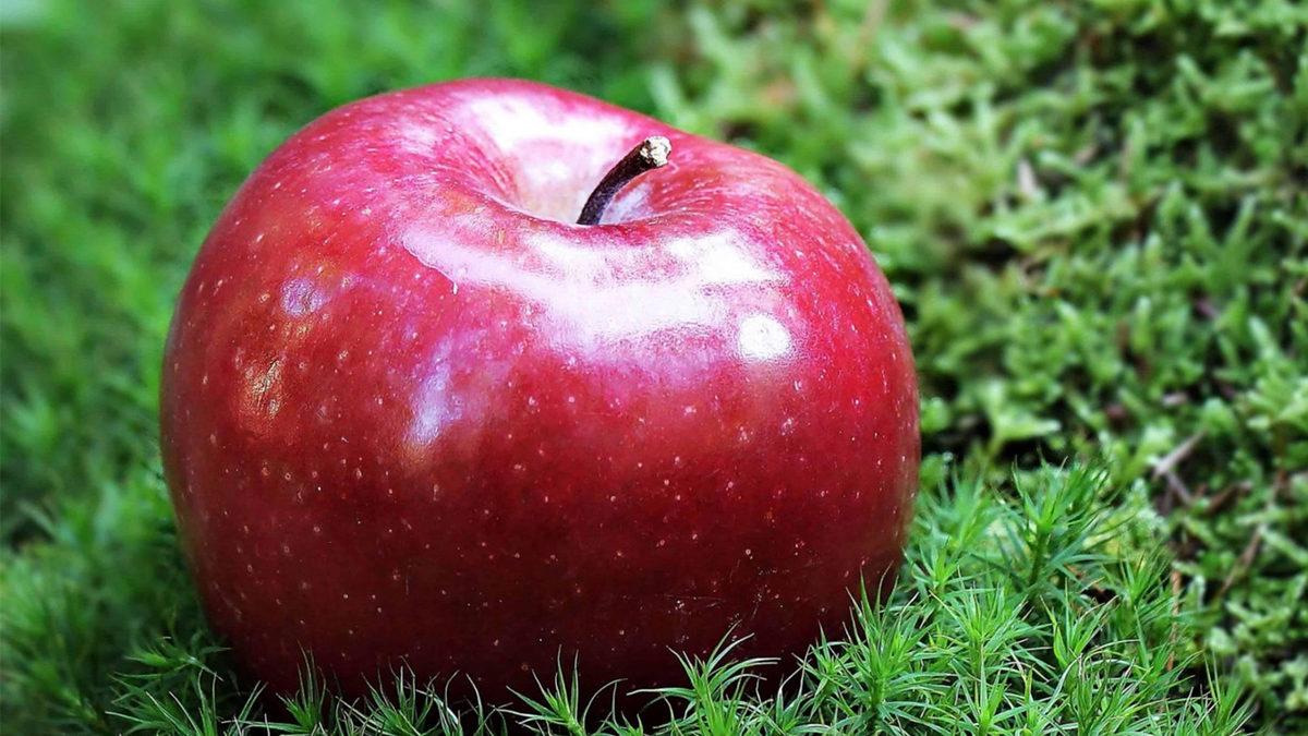 Elmanın Dışındaki Bal Mumsu Katman Ne İşe Yarıyor? Sağlığımız İçin Zararı Var mı?