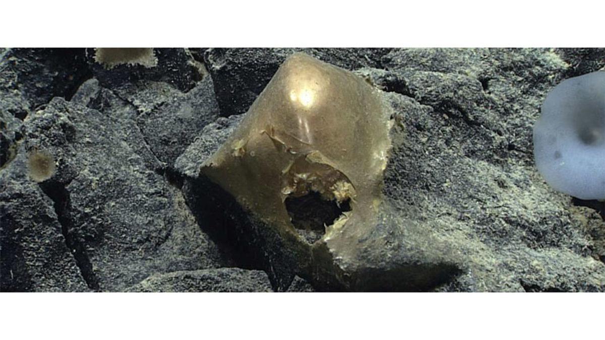 Okyanusun Dibinde Bulunan Bu Altın Renginde Küreye Benzeyen Gizemli Nesne de Neyin Nesi?