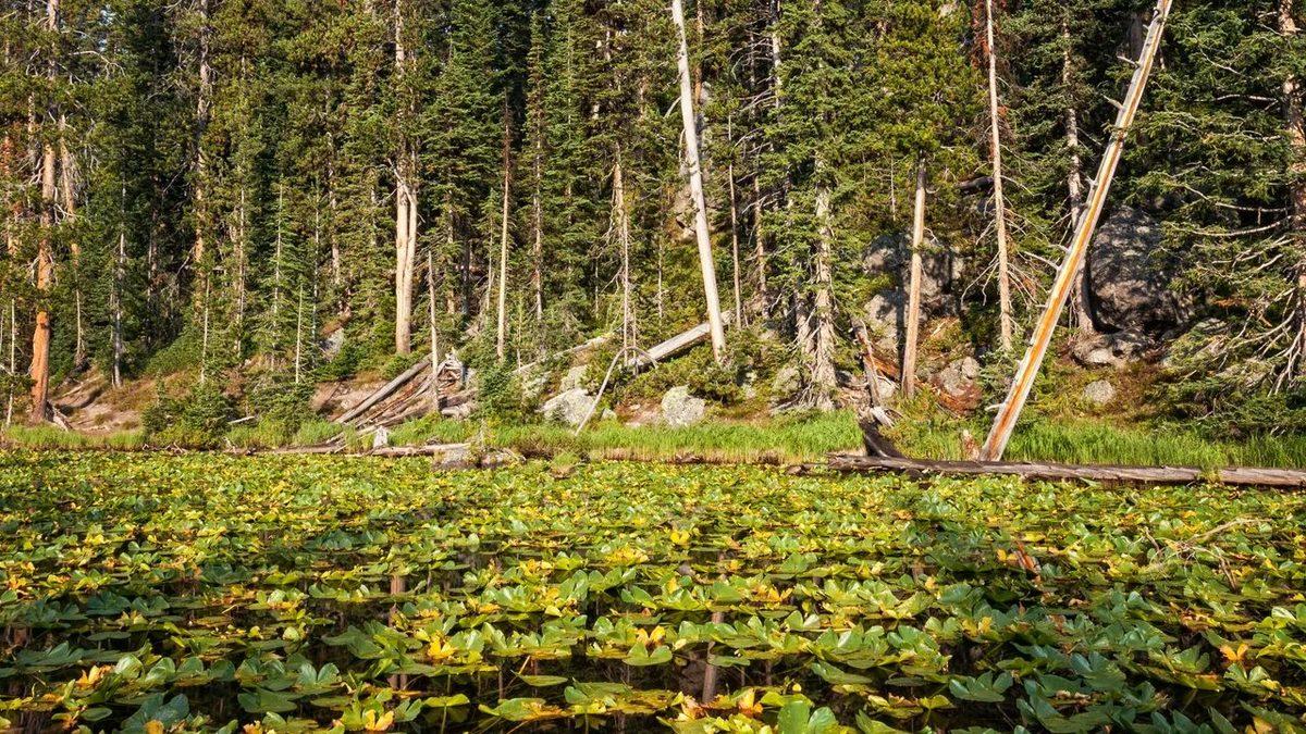 Hem Atlas Hem de Pasifik Okyanusu’na Akan Dünya’nın Tek Gölü Isa: Peki Daha Farklı Hangi Özelliklere Sahip?