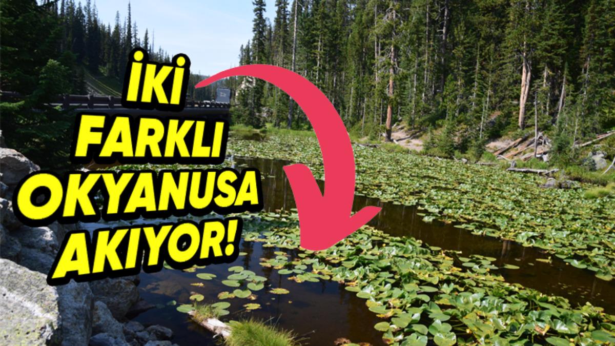 Hem Atlas Hem de Pasifik Okyanusu’na Akan Dünya’nın Tek Gölü Isa: Peki Daha Farklı Hangi Özelliklere Sahip?