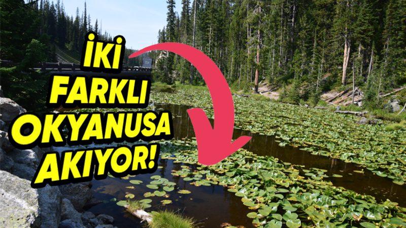 Hem Atlas Hem de Pasifik Okyanusu’na Akan Dünya’nın Tek Gölü Isa: Peki Daha Farklı Hangi Özelliklere Sahip?