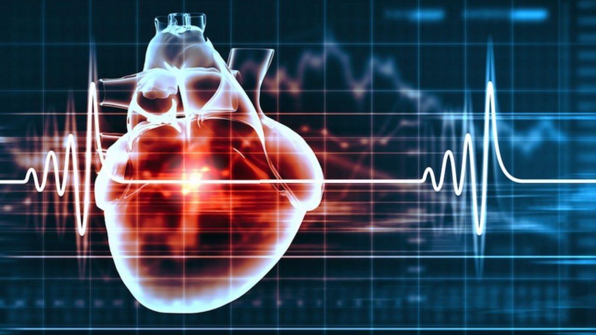 Kalbinizin 1 Günde ve 1 Yılda Toplam Kaç Kez Attığını Öğrenince Bu Organın Çalışma Şekline Hayran Kalacaksınız!