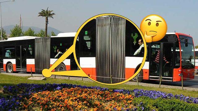 Otobüslerde Gördüğümüz Bu Körükler Tam Olarak Ne İşe Yarıyor? Yararları Saymakla Bitmiyormuş...