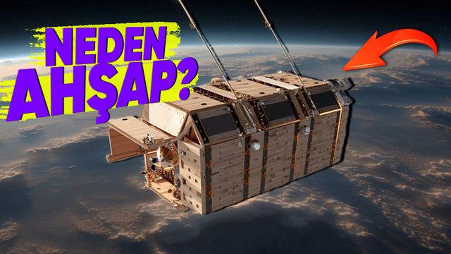 Dünyanın İlk Ahşap Uydusu Uzaya Gönderildi: Peki Neden "Ahşap" Tercih Edildi?