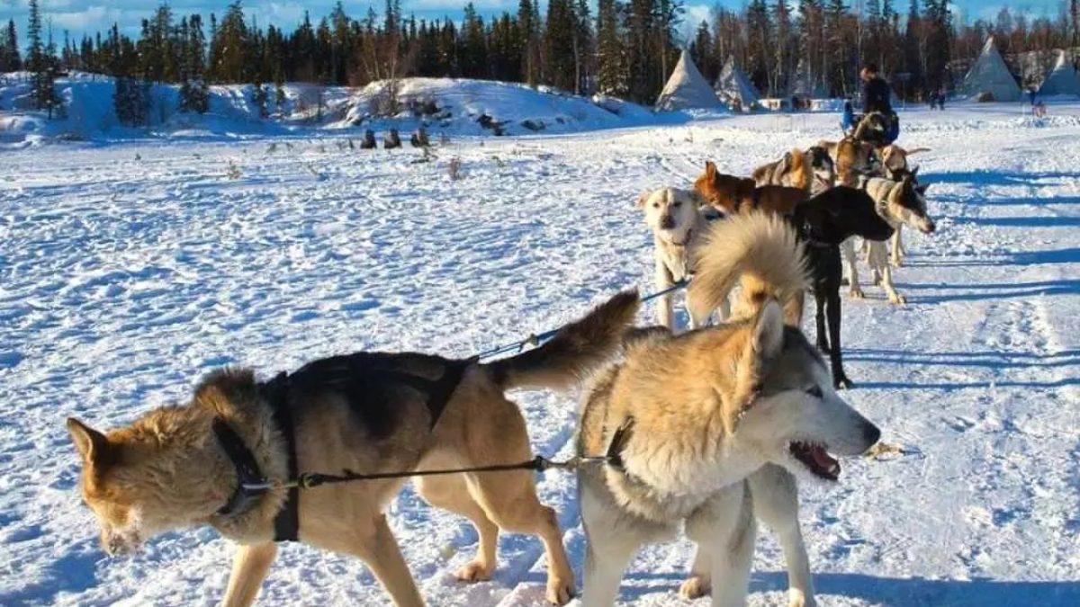 Dünyanın En Soğuk 7 Şehrinin, Sıfırın Altında Kaç Derecelerde Seyrettiğini Öğrenince Yaşadığınız Coğrafyaya Şükredeceksiniz!
