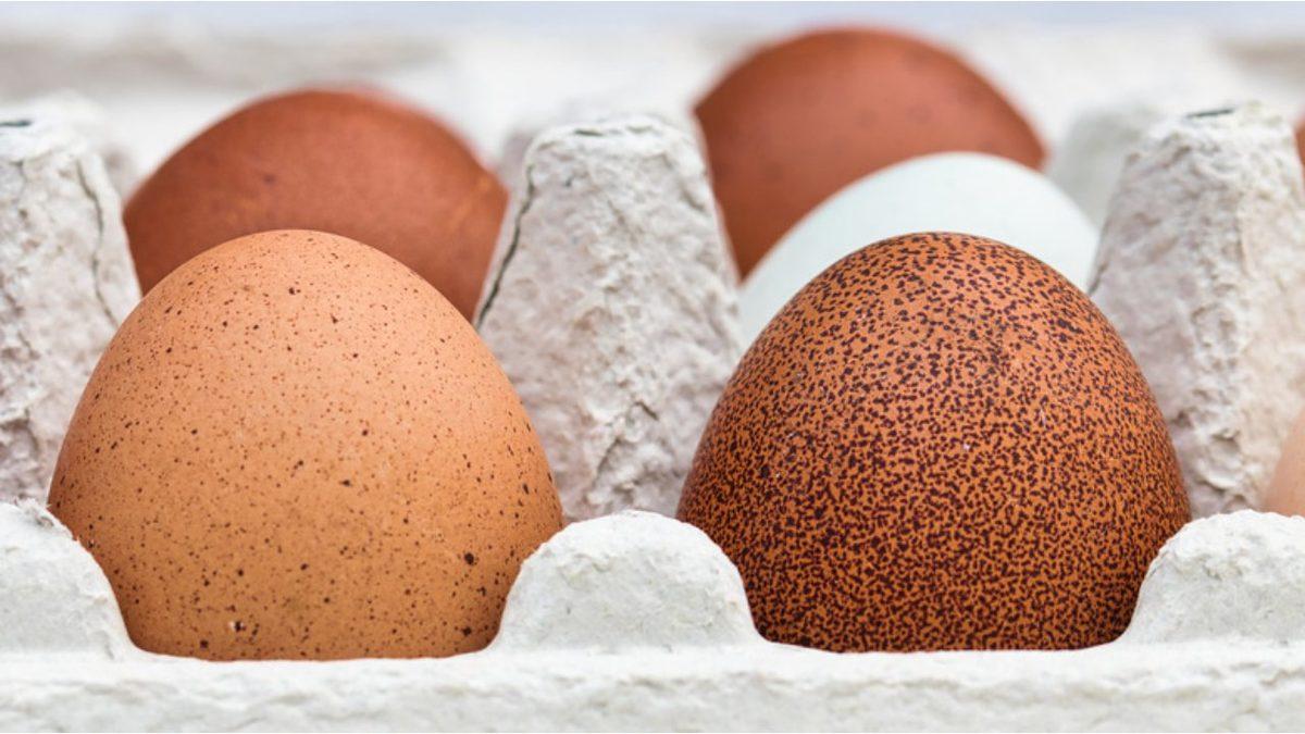 Yumurta Kabuklarındaki Koyu Lekelerin ve Noktacık Şeklindeki Şişliklerin Beklenmedik Nedeni: Peki Tüketmek Güvenli mi?
