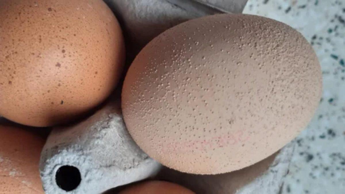 Yumurta Kabuklarındaki Koyu Lekelerin ve Noktacık Şeklindeki Şişliklerin Beklenmedik Nedeni: Peki Tüketmek Güvenli mi?