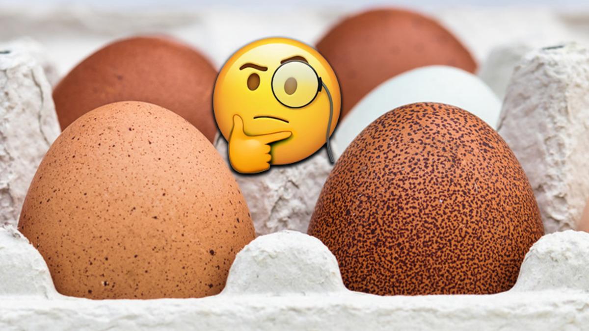 Yumurta Kabuklarındaki Koyu Lekelerin ve Noktacık Şeklindeki Şişliklerin Beklenmedik Nedeni: Peki Tüketmek Güvenli mi?