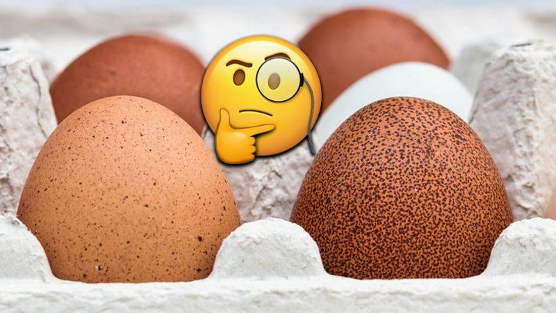 Yumurta Kabuklarındaki Koyu Lekelerin ve Noktacık Şeklindeki Şişliklerin Beklenmedik Nedeni: Peki Tüketmek Güvenli mi?