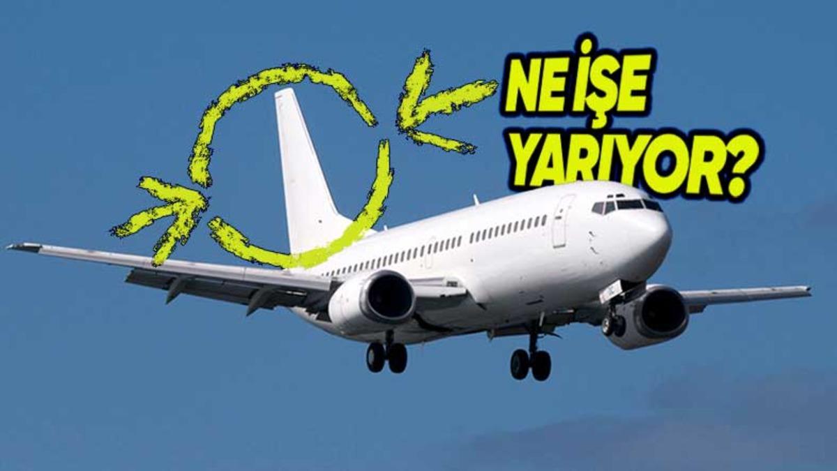 Uçağın Kuyruğundaki Bu Üçgenimsi Dikey Parçanın Hayati İşlevi