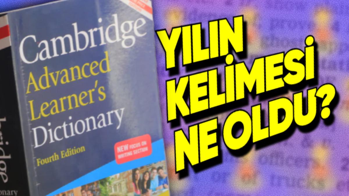 Cambridge, 2024 Yılının Kelimesini Açıkladı: Peki Ne Anlama Geliyor?
