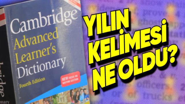 Cambridge, 2024 Yılının Kelimesini Açıkladı: Peki Ne Anlama Geliyor?