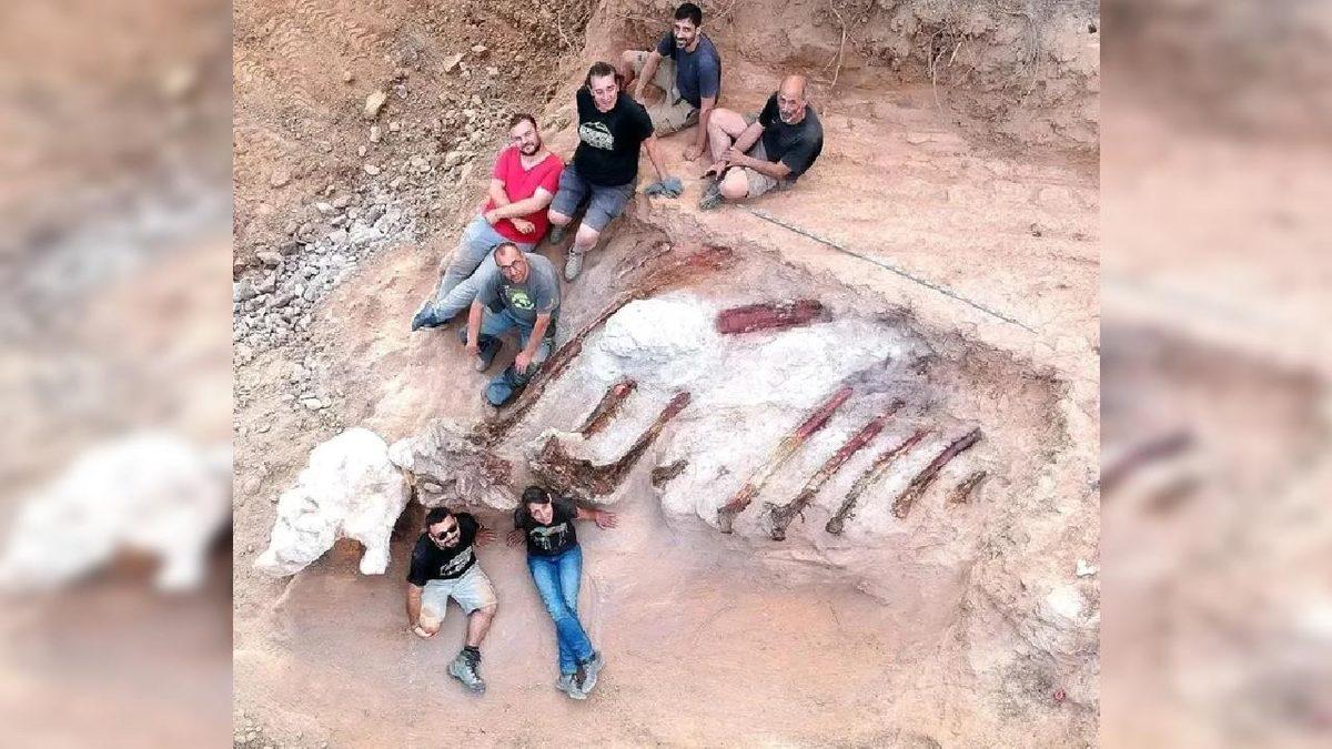Belki Biri de Sizin Evinizin Altındadır: Bir Evin Arka Bahçesinde Tesadüfen Bulunan, Avrupa’nın En Büyük Dinozor İskeleti