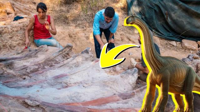 Belki Biri de Sizin Evinizin Altındadır: Bir Evin Arka Bahçesinde Tesadüfen Bulunan, Avrupa’nın En Büyük Dinozor İskeleti