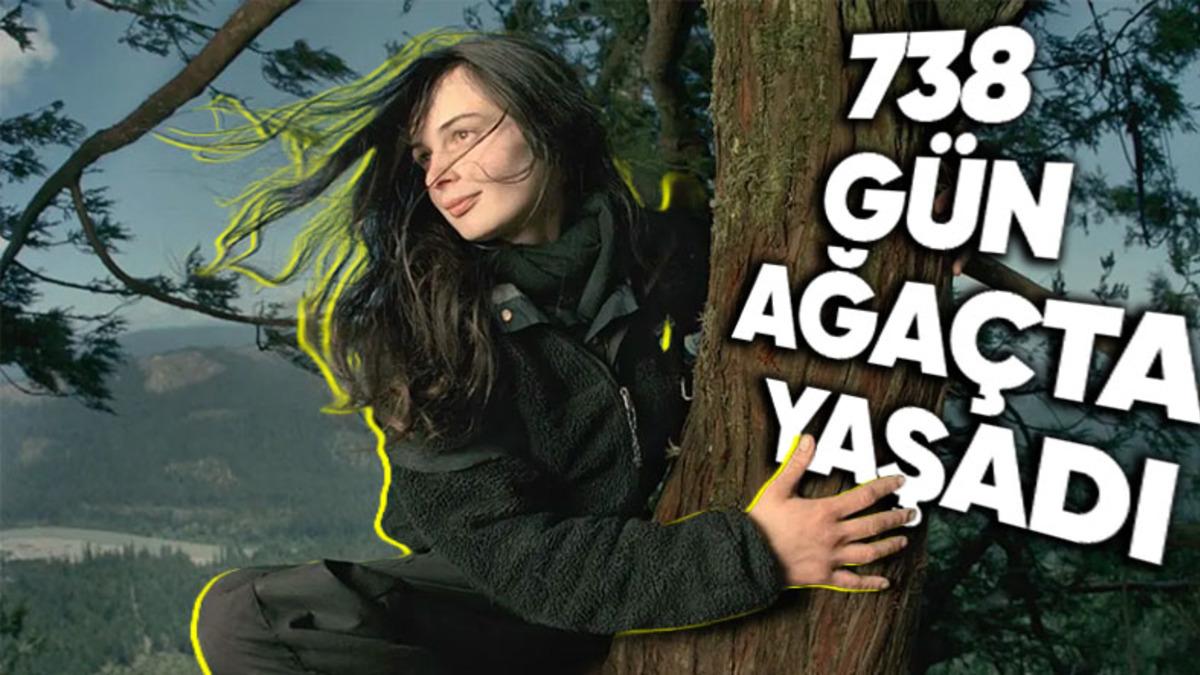Bir Ağaç Kesilmesin Diye Tam 738 Gün O Ağaçta Yaşayarak Mücadelesini Sürdüren Julia Butterfly Hill’in İlginç Hikâyesi