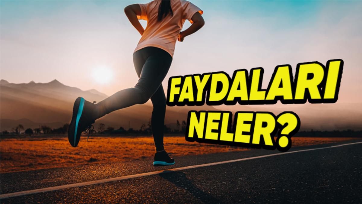 Düzenli Egzersizin, Hasarlı Nöronlar Üzerindeki Muazzam Etkisini Öğrenince Soluğu Spor Salonunda Alabilirsiniz!