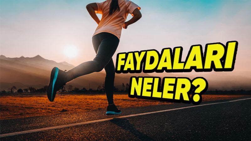 Düzenli Egzersizin, Hasarlı Nöronlar Üzerindeki Muazzam Etkisini Öğrenince Soluğu Spor Salonunda Alabilirsiniz!