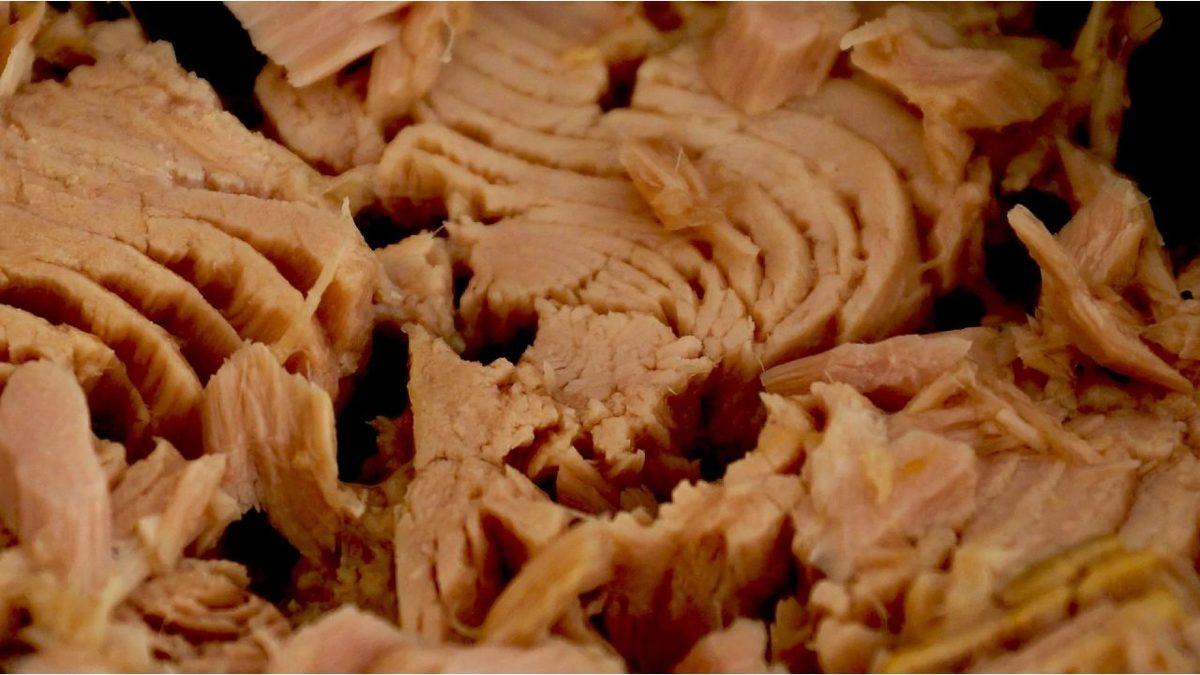 Tüketirken Bir Değil İki Kere Düşüneceksiniz: Ton Balıkları Neden Bu Kadar Yüksek Oranda Cıva İçerir?