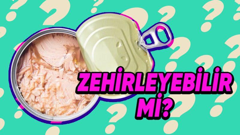 Tüketirken Bir Değil İki Kere Düşüneceksiniz: Ton Balıkları Neden Bu Kadar Yüksek Oranda Cıva İçerir?