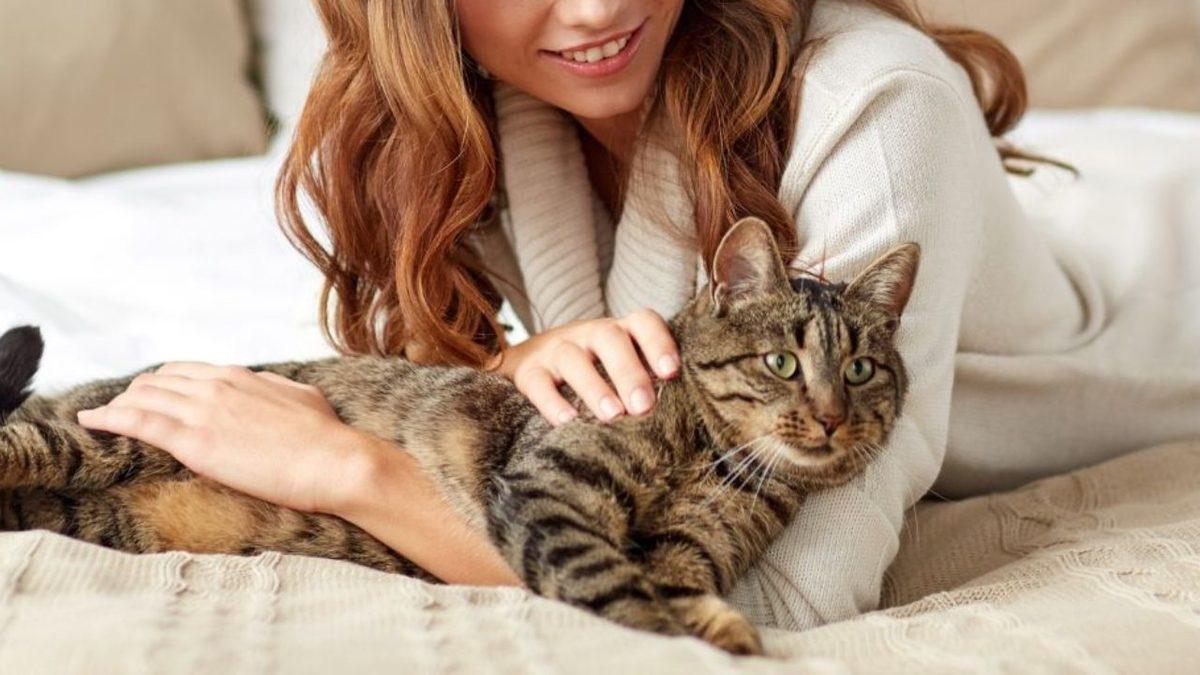 Psikolojiden İnsan İlişkilerine: Kedi Sahiplenmek, Bilimsel Açıdan Hangi Avantajları Beraberinde Getiriyor?