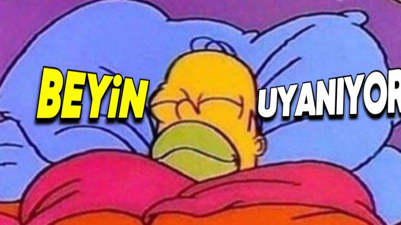 Beynimizin Geceleri Kaç Defa Uyandığını Öğrenince "E Biz Uyumuyormuşuz ki!" Diyeceksiniz