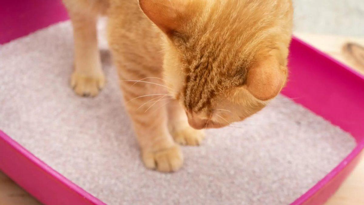 Günlük Hayatta Farkında Olmadan Maruz Kaldığımız 5 Radyasyon Kaynağı (İçlerinde Bir Meyve Bile Var!)