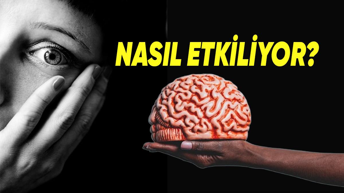 Korku Duygusu, İnsan Beynini ve Vücudunu Nasıl Etkiler? (Okuduktan Sonra Korku Dolu Şakalar Yapmayı Bırakabilirsiniz)