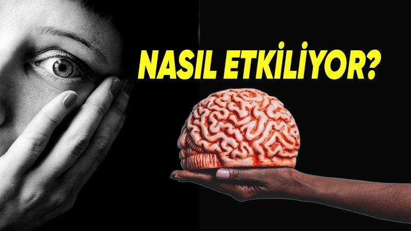 Korku Duygusu, İnsan Beynini ve Vücudunu Nasıl Etkiler? (Okuduktan Sonra Korku Dolu Şakalar Yapmayı Bırakabilirsiniz)