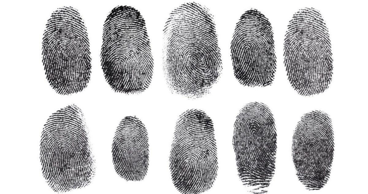 Dünyada Kimsede Aynısına Rastlanmayan Parmak İzleri Nasıl Oluşuyor?