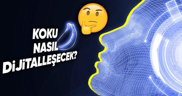 Hep Hayal Ettiğimiz "Koku Dijitalleştirme" Artık Gerçek Oluyor: Osmo.ai ile Bu Nasıl Mümkün Oldu?