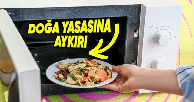 Yemeği Saniyeler İçinde Isıtan Mikrodalgalar Varken Aynı Hızda Soğutan Cihazlar Neden Yapılamıyor?